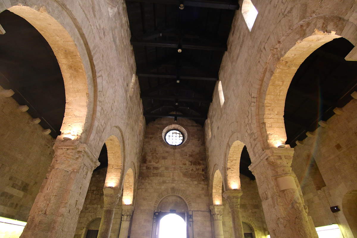 Image 6